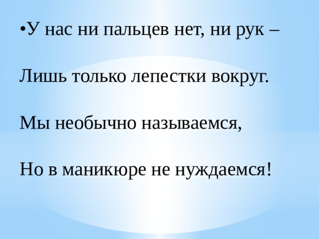 • У нас ни пальцев нет, ни рук –  Лишь только лепестки вокруг.  Мы необычно называемся,  Но в маникюре не нуждаемся!   