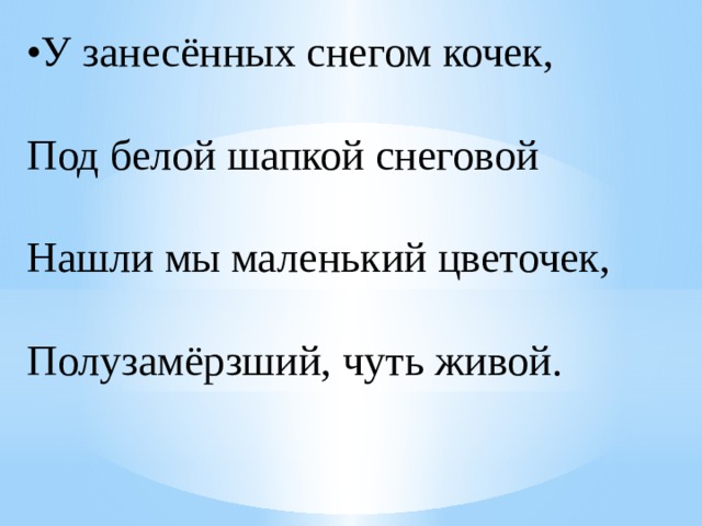 • У занесённых снегом кочек,  Под белой шапкой снеговой  Нашли мы маленький цветочек,  Полузамёрзший, чуть живой. 