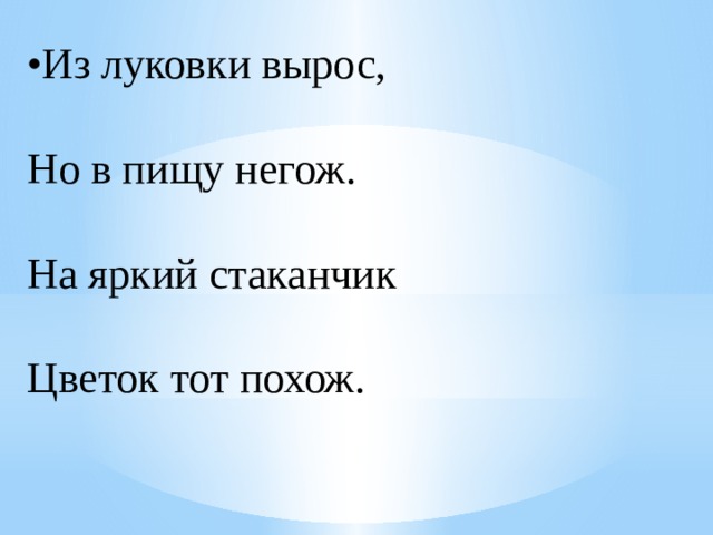 • Из луковки вырос,  Но в пищу негож.  На яркий стаканчик  Цветок тот похож. 