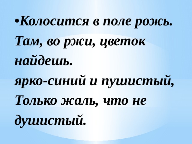 • Колосится в поле рожь.  Там, во ржи, цветок найдешь.  ярко-синий и пушистый,  Только жаль, что не душистый. 
