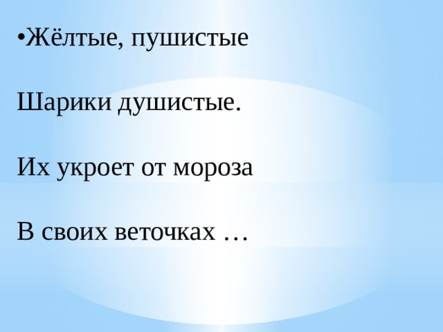 • Жёлтые, пушистые  Шарики душистые.  Их укроет от мороза  В своих веточках … 
