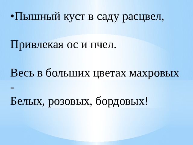 • Пышный куст в саду расцвел,  Привлекая ос и пчел.  Весь в больших цветах махровых -  Белых, розовых, бордовых! 