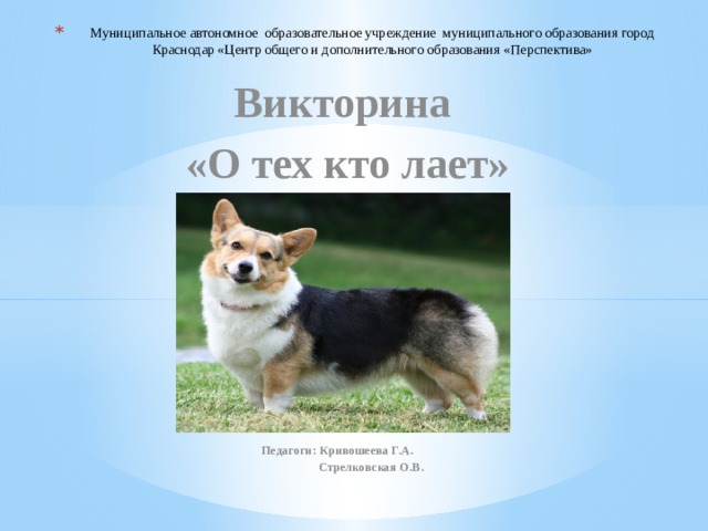 Муниципальное автономное образовательное учреждение муниципального образования город Краснодар «Центр общего и дополнительного образования «Перспектива» Викторина «О тех кто лает» Педагоги: Кривошеева Г.А.  Стрелковская О.В. 