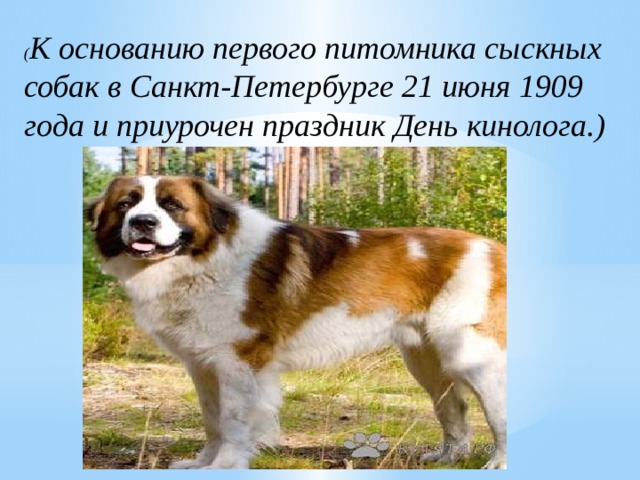 ( К основанию первого питомника сыскных собак в Санкт-Петербурге 21 июня 1909 года и приурочен праздник День кинолога.) 