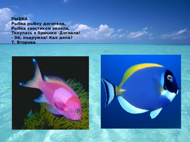   РЫБКА  Рыбка рыбку догоняла,  Рыбка хвостиком виляла,  Ткнулась в брюшко -Догнала!  - Эй, подружка! Как дела?  Т. Второва   