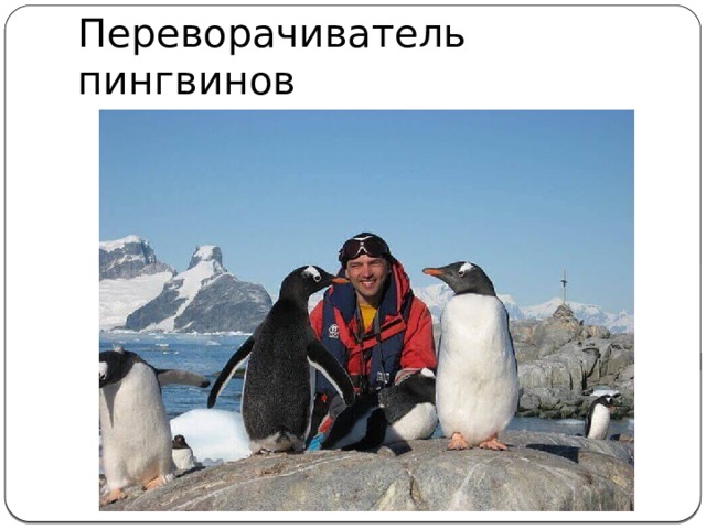 Переворачиватель пингвинов 