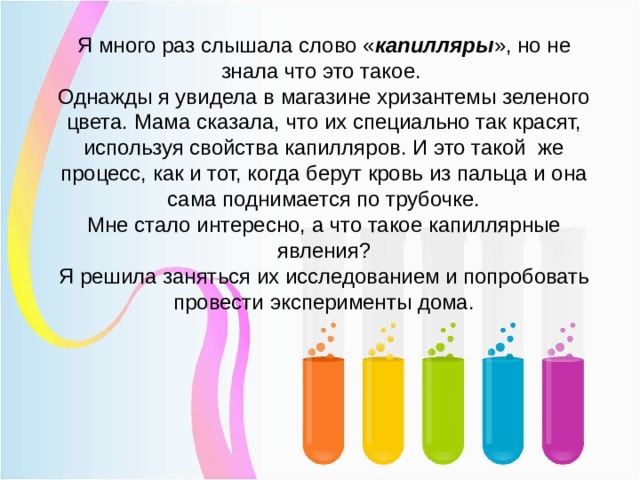 Я много раз слышала слово « капилляры », но не знала что это такое.  Однажды я увидела в магазине хризантемы зеленого цвета. Мама сказала, что их специально так красят, используя свойства капилляров. И это такой же процесс, как и тот, когда берут кровь из пальца и она сама поднимается по трубочке.  Мне стало интересно, а что такое капиллярные явления?  Я решила заняться их исследованием и попробовать провести эксперименты дома.    
