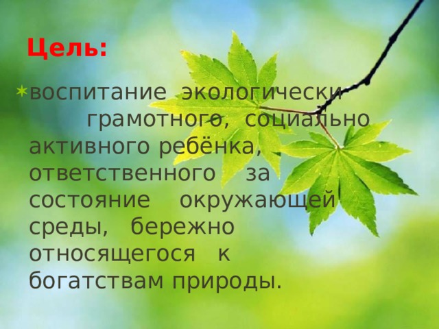 Цель: воспитание  экологически   грамотного,  социально­активного ребёнка, ответственного   за   состояние   окружающей   среды,   бережно   относящегося   к богатствам природы. 
