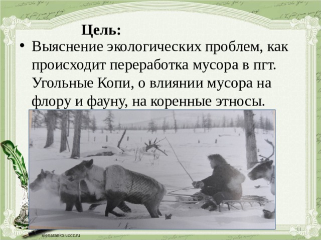Цель: Выяснение экологических проблем, как происходит переработка мусора в пгт. Угольные Копи, о влиянии мусора на флору и фауну, на коренные этносы.     