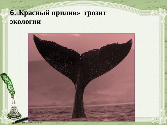 6. « Красный прилив» грозит экологии  