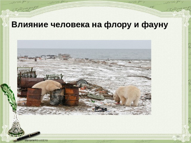 Влияние человека на флору и фауну  
