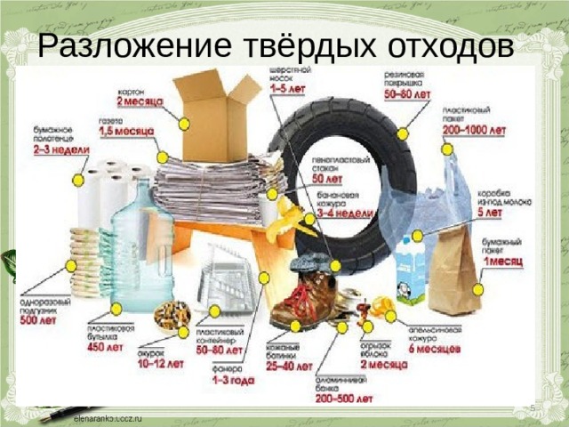 Разложение твёрдых отходов  
