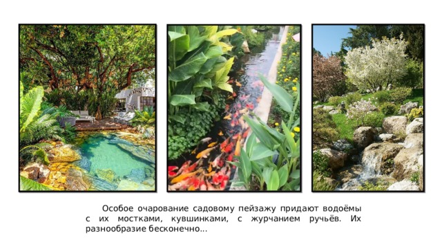  Особое очарование садовому пейзажу придают водоёмы с их мостками, кувшинками, с журчанием ручьёв. Их разнообразие бесконечно... 