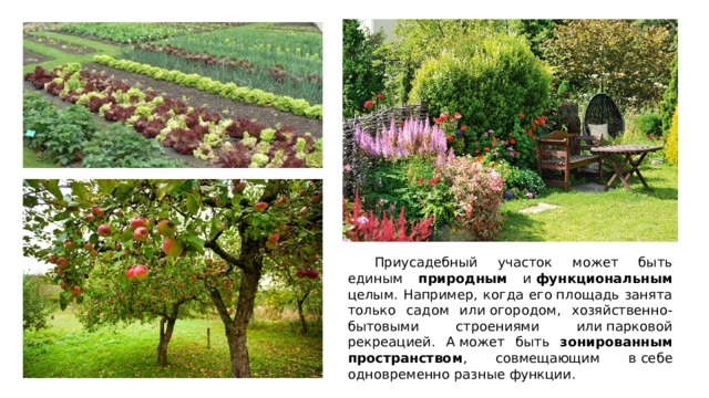  Приусадебный участок может быть единым природным и  функциональным целым. Например, когда его площадь занята только садом или огородом, хозяйственно-бытовыми строениями или парковой рекреацией. А может быть зонированным пространством , совмещающим в себе одновременно разные функции. 