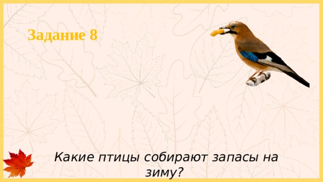 Задание 8 Какие птицы собирают запасы на зиму? 