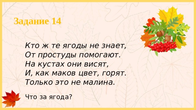 Задание 14 Кто ж те ягоды не знает, От простуды помогают. На кустах они висят, И, как маков цвет, горят. Только это не малина. Что за ягода? 