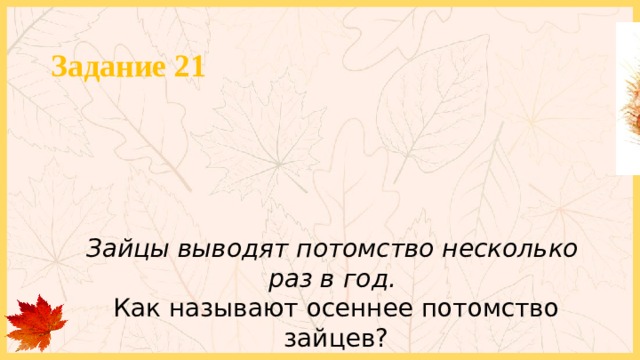 Задание 21 Зайцы выводят потомство несколько раз в год. Как называют осеннее потомство зайцев? 
