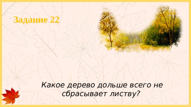 Задание 22 Какое дерево дольше всего не сбрасывает листву? 