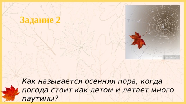 Задание 2 Как называется осенняя пора, когда погода стоит как летом и летает много паутины? 
