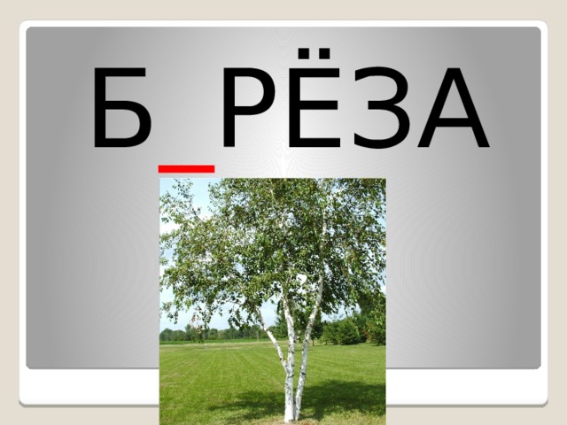 Б _ РЁЗА 