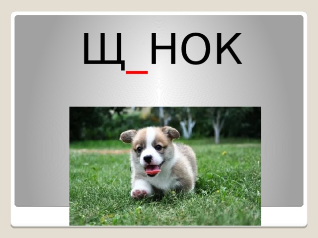 Щ _ НОК 