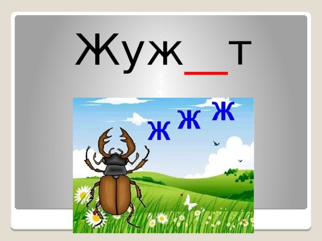 Жуж __ т 
