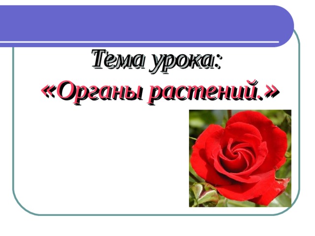 Тема урока:   « Органы растений. » 