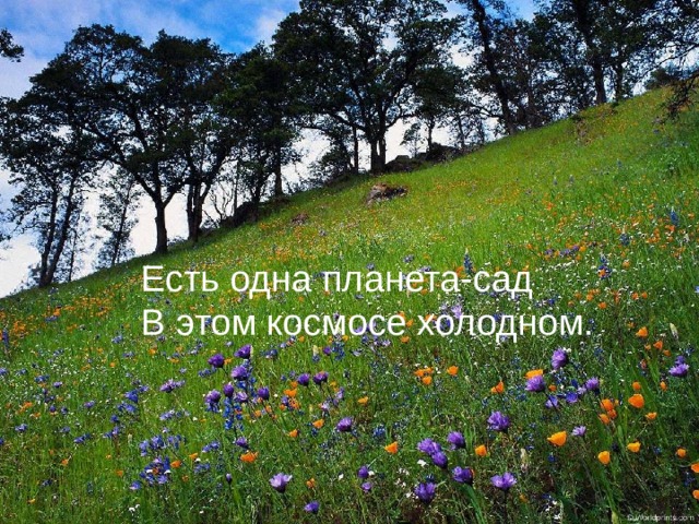 Есть одна планета-сад  В этом космосе холодном.   