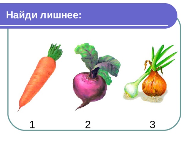Найди лишнее:  1 2 3 