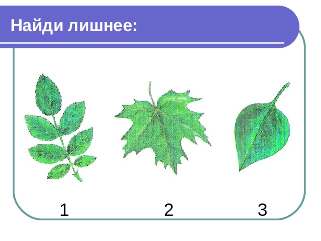 Найди лишнее:  1 2 3 