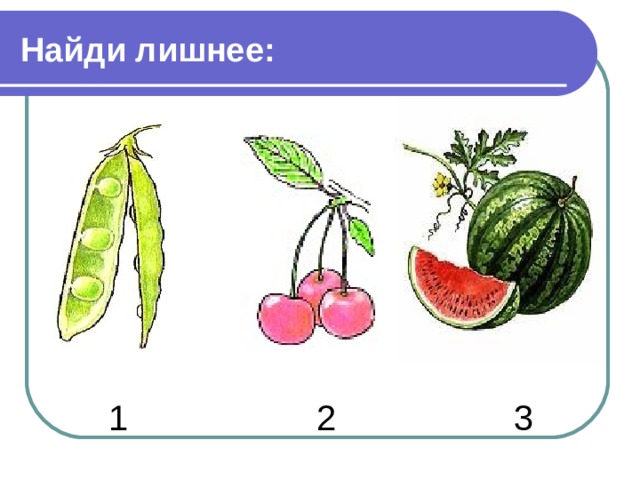 Найди лишнее:  1 2 3 