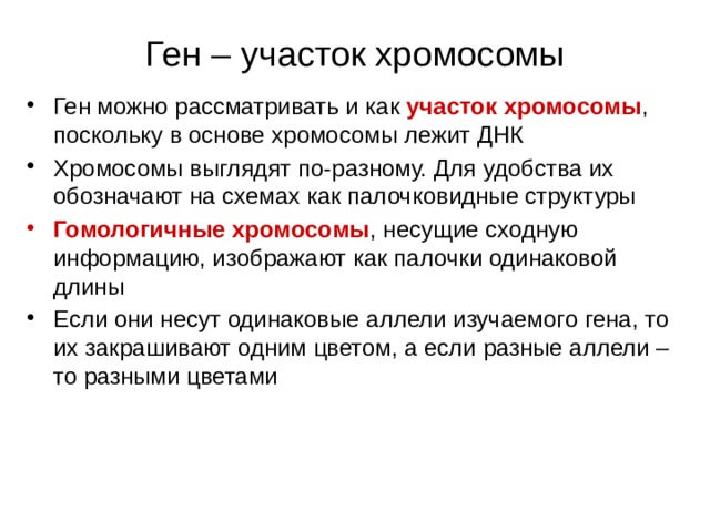 Ген – участок хромосомы Ген можно рассматривать и как участок хромосомы , поскольку в основе хромосомы лежит ДНК Хромосомы выглядят по-разному. Для удобства их обозначают на схемах как палочковидные структуры Гомологичные хромосомы , несущие сходную информацию, изображают как палочки одинаковой длины Если они несут одинаковые аллели изучаемого гена, то их закрашивают одним цветом, а если разные аллели – то разными цветами 