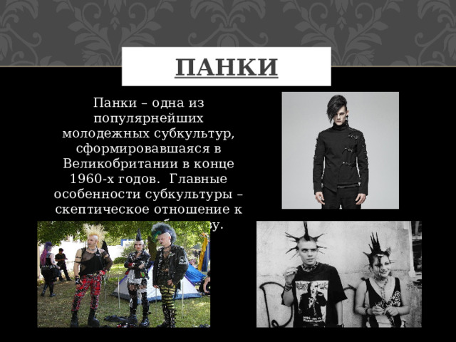 Панки Панки – одна из популярнейших молодежных субкультур, сформировавшаяся в Великобритании в конце 1960-х годов. Главные особенности субкультуры – скептическое отношение к политике и обществу. 