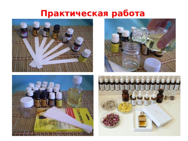 Практическая работа 