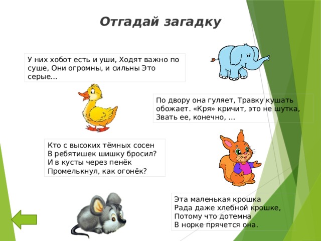 Отгадай загадку У них хобот есть и уши, Ходят важно по суше, Они огромны, и сильны Это серые… По двору она гуляет, Травку кушать обожает. «Кря» кричит, это не шутка, Звать ее, конечно, …  Кто с высоких тёмных сосен  В ребятишек шишку бросил?  И в кусты через пенёк  Промелькнул, как огонёк?  Эта маленькая крошка  Рада даже хлебной крошке,  Потому что дотемна  В норке прячется она. 