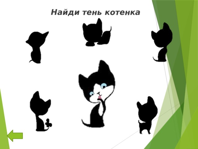 Кто что ест? 