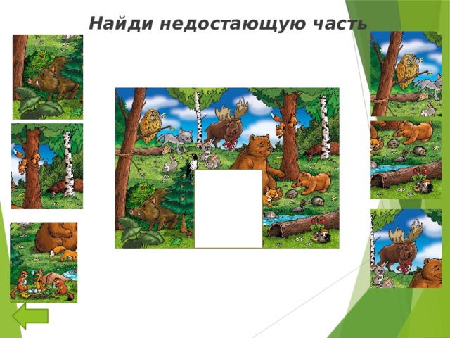 Найди тень котенка 