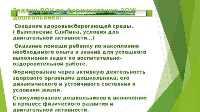 Задачи ДОУ по формированию ЗОЖ дошкольника:  Создание здоровьесберегающей среды. ( Выполнение СанПина, условия для двигательной активности…)  Оказание помощи ребенку по накоплению необходимого опыта и знаний для успешного выполнения задач по воспитательно-оздоровительной работе. Формирование через активную деятельность здорового организма дошкольника, его динамического и устойчивого состояния к условиям жизни. Стимулирование дошкольников к включению в процесс физического развития и двигательной активности. Формирование навыков саморегуляции поведения, направленных на осознанное сохранение и укрепление здоровья. Работа с семьями воспитанников по вопросам формирования здорового образа жизни ребенка. (Теоретические и практические мероприятия) Вставка рисунка 