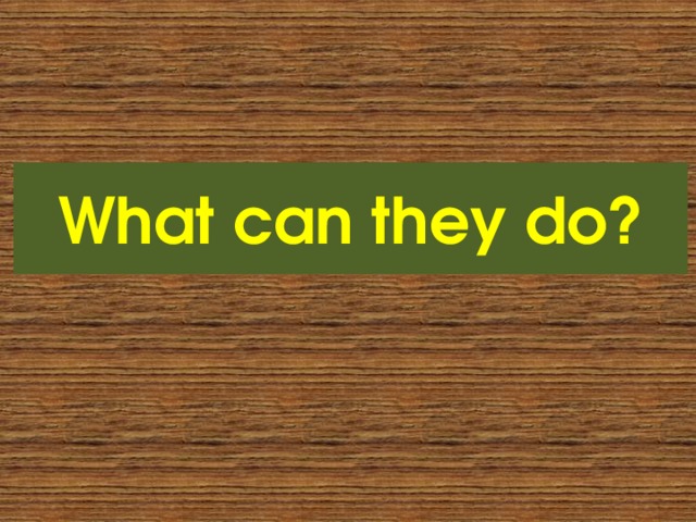 What can they do? 