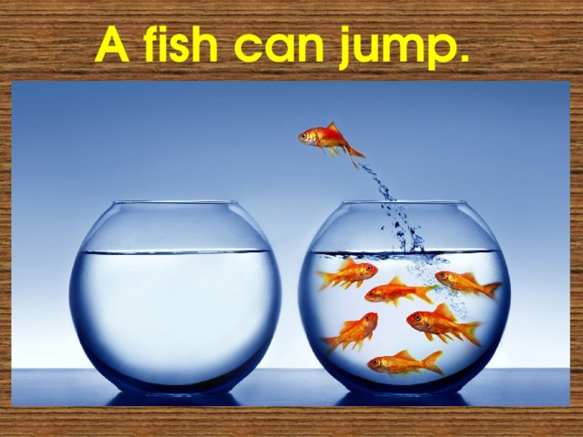 A fish can jump. 