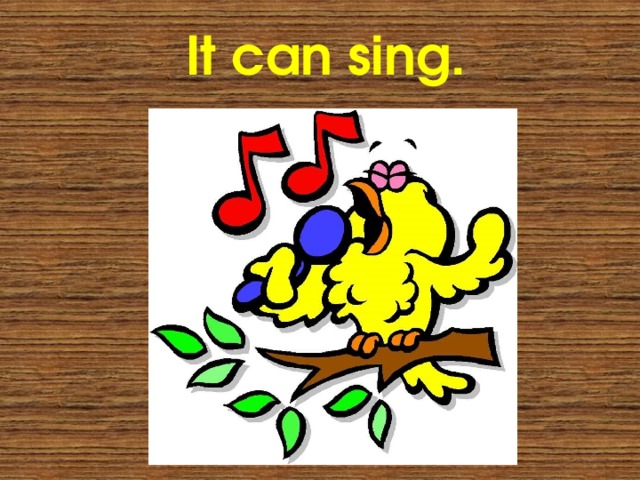 It can sing. 