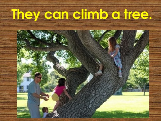 They can climb a tree. 