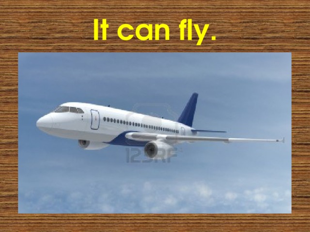 It can fly. 