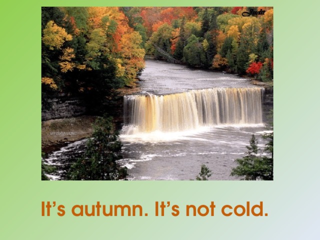  It’s autumn. It’s not cold.   