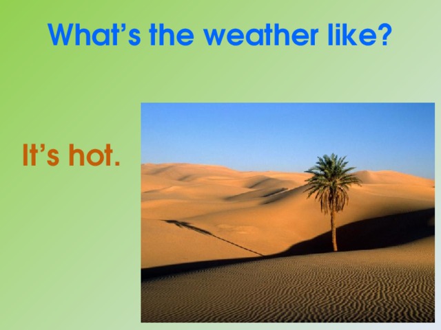 What’s the weather like? It’s hot. 