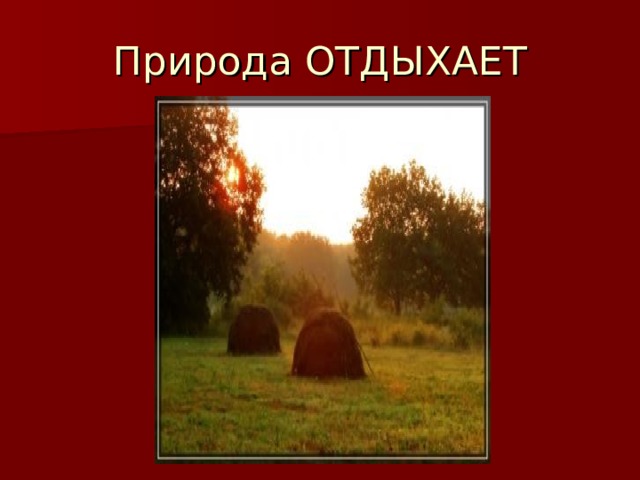 Природа ОТДЫХАЕТ 