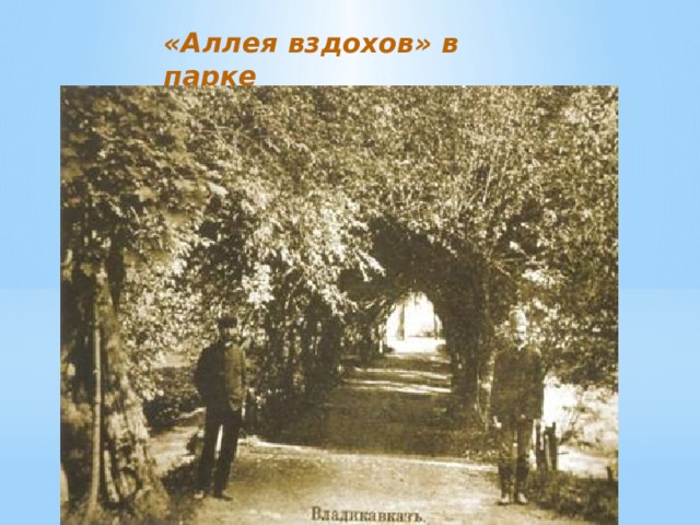 «Аллея вздохов» в парке 