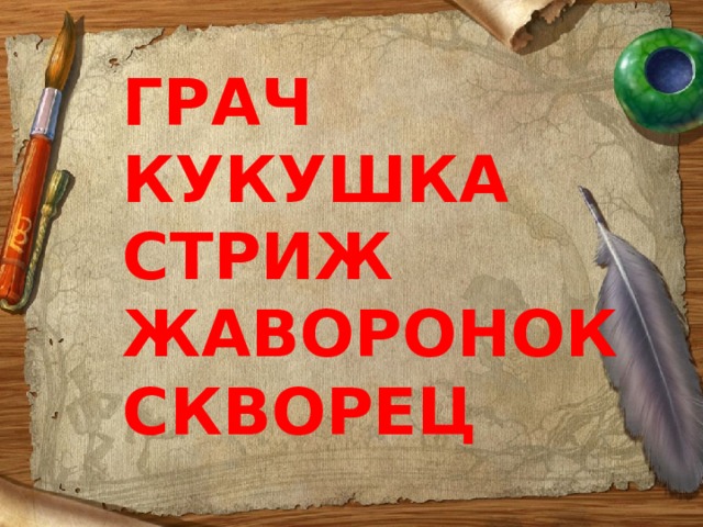 ГРАЧ КУКУШКА СТРИЖ ЖАВОРОНОК СКВОРЕЦ 