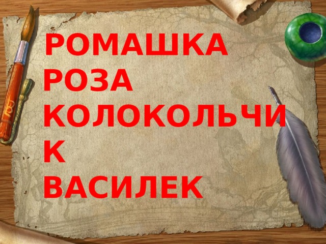   РОМАШКА РОЗА КОЛОКОЛЬЧИК ВАСИЛЕК 