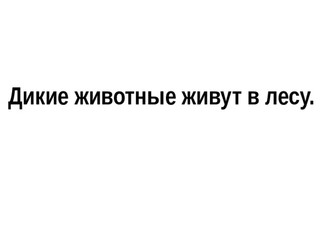 Дикие животные живут в лесу. 